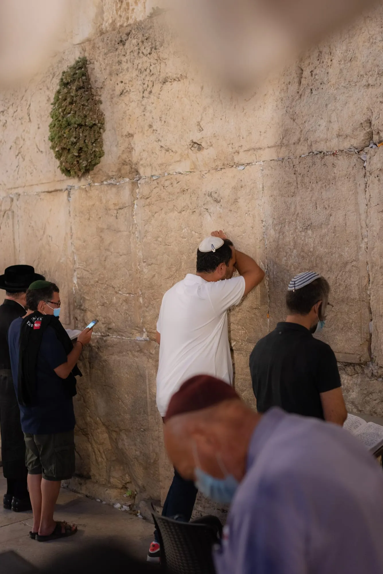 חתן בר מצווה מתפלל בכותל המערבי