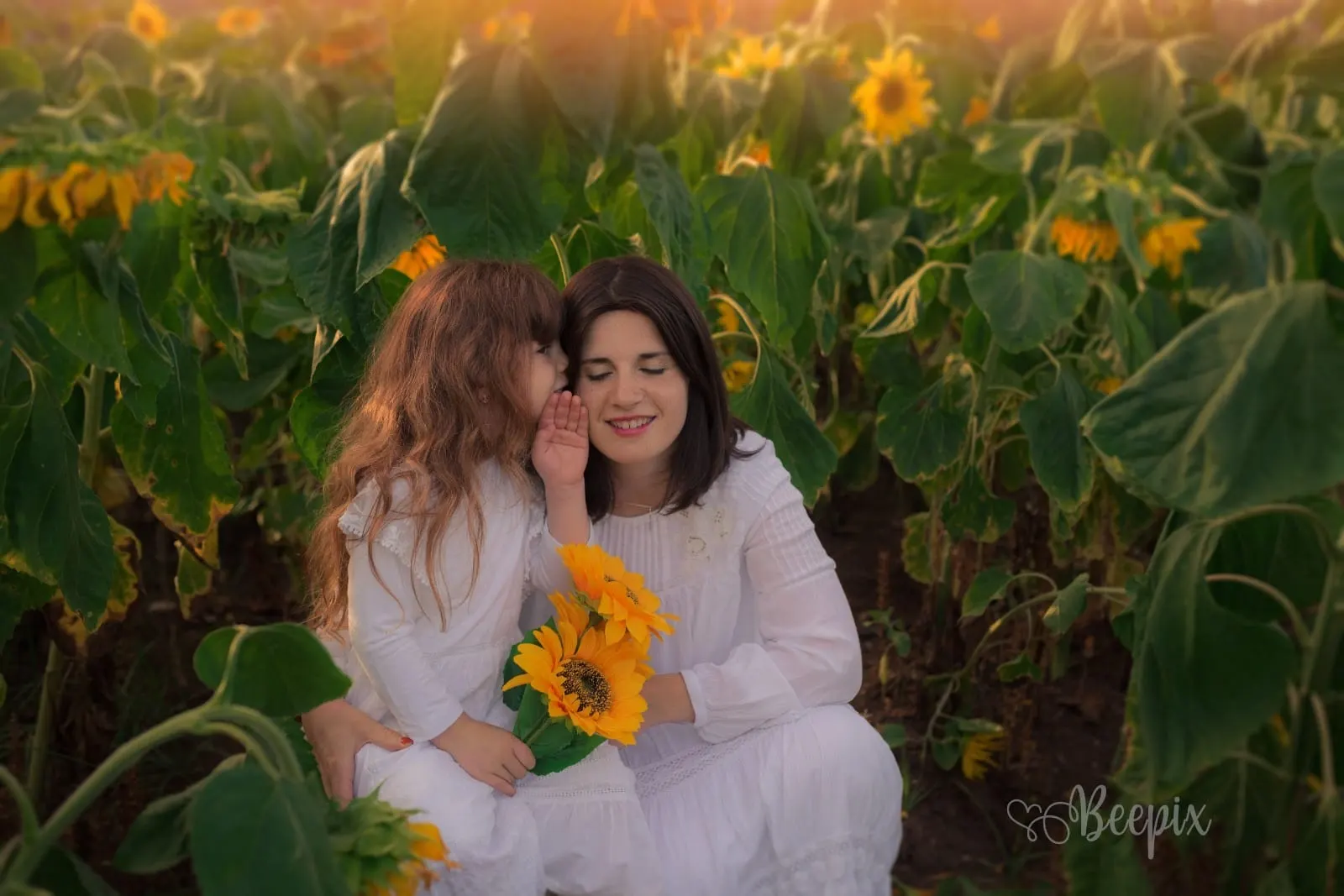 אמא לוחשת סוד לבתה בשדה חמניות