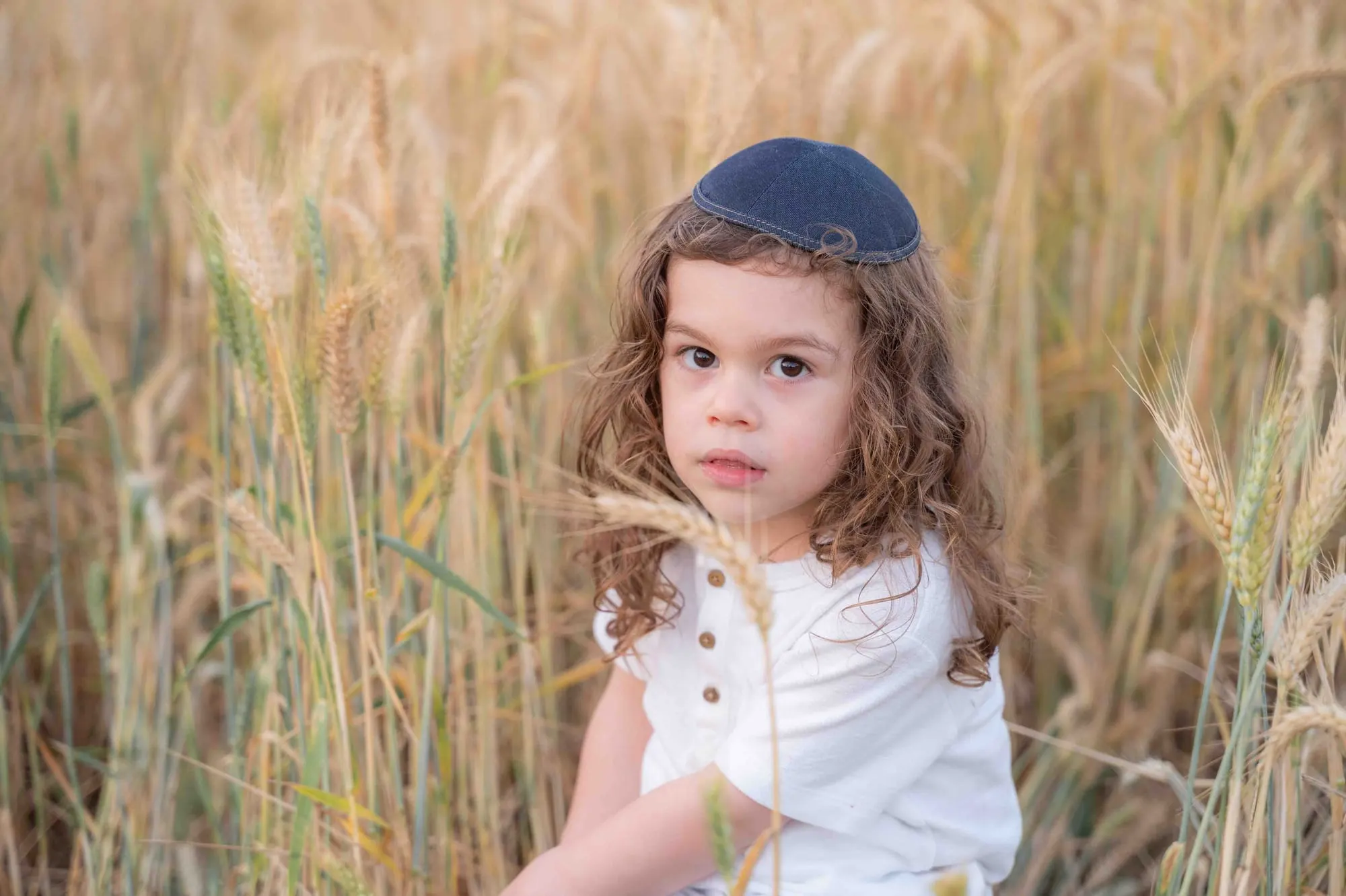 ילד עם תלתלים וכיפה בשדה חיטה לפני החלאקה
